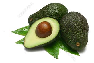Avocado