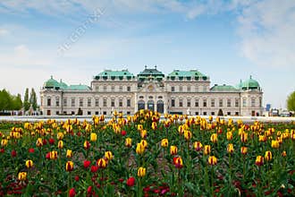 Belvedere palace Vienna Austria