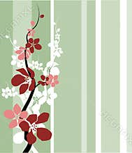 Cherry/apple Blossom