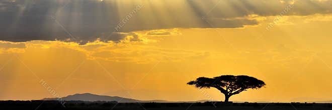 Panorama african sunset