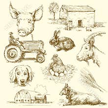 Farm animals