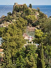 detail in the vegetation of isola bella in taormina