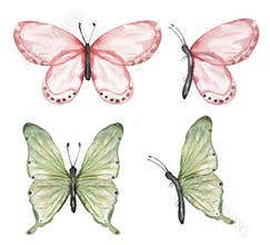 Delicate pink and green butterfly Clipart Set, Watercolor Insects illustration, Butterflies clip art, Wedding Invitation, Logo