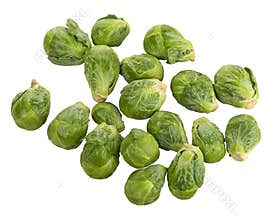 Brussel Sprouts on White Background