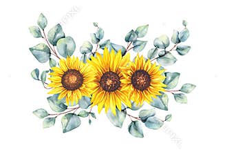 Watercolor sunflowers bouquet, hand painted sunflower bouquets, sunfower flower arrangement. Wedding invitation clipart elements.