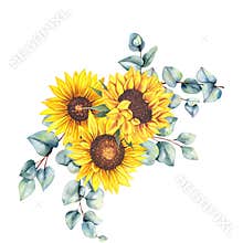 Watercolor sunflowers bouquet, hand painted sunflower bouquets, sunfower flower arrangement. Wedding invitation clipart elements.