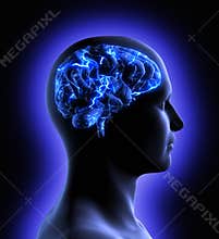 Brain Activity
