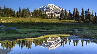 Mt. Rainier reflection in Spray Park