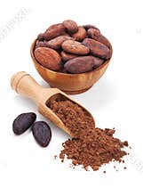 Cacao beans and cacao powder on white