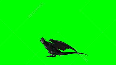 Fire Breathing Dragon Flying on Green Screen