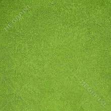 Grass