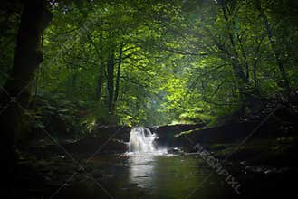 Woodland waterfall lit by the sun.