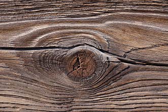Wood Knot and Grain