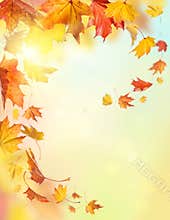 Autumn falling leaves