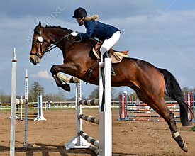 Horse show jumping