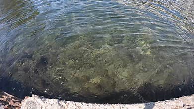 footage of the rippling waters of Rainbow Lagoon in Long Beach California