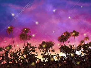 Firefly Dance