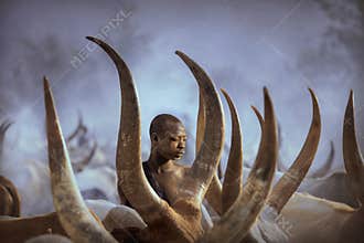 Man from the Mundari tribe picks up his cows at the end of the day., South Sudan, October 2021