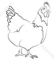 Hen Contour Silhouette