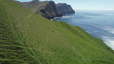 Coastal Cliffs of Lush Green Island