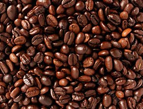 Coffee Beans