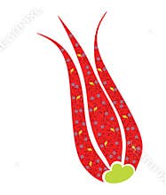 Red ottoman tulip flower