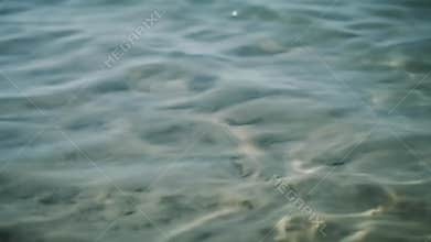 Shallow Water Ripple