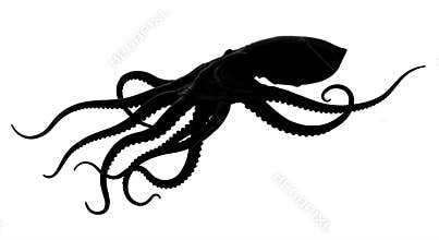Octopus Silhouette