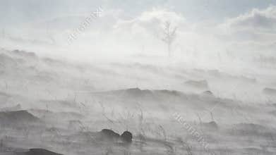 Snowstorm and a winter landscape on rocky mountain slope with bare trees