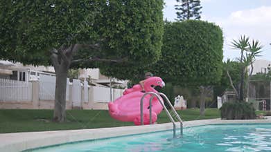 Little girl dragging a large inflatable pink flamingo ring along the pool
