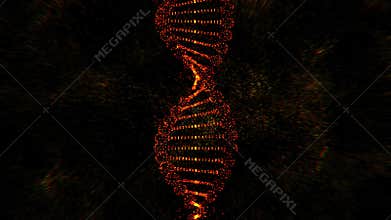 Red digital dna helix or genome structure scatter 4k footage