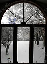 Winter Window