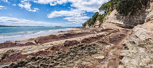 Narrow Neck Beach