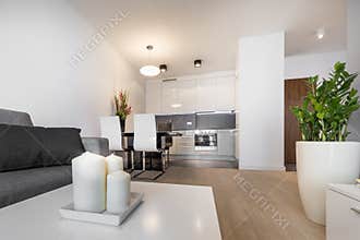 Modern luxury living room interior design