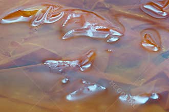 Translucent textures of jelly like substance with shimmering reflections captured in natural light during daytime