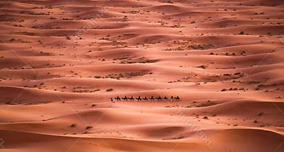 Caravan