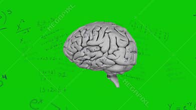 Opening with gray 3D brain rotating clockwise revealing hemispheres against green math backdrop