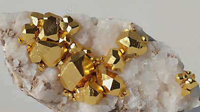 Golden chalcopyrite crystals growing on white quartz rock