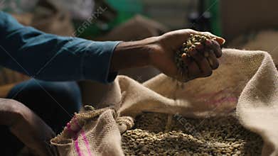 Unrecognizable ethnic African American coffee factory man small business owner male hands arm scoop raw green beans sack
