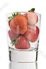 Drink in the nutrition