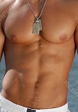 Muscular Male Torso