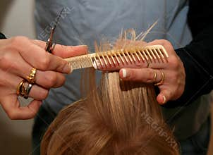 Haircutting