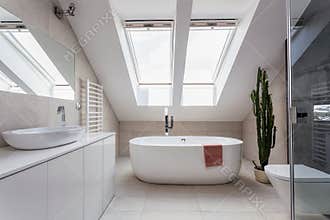 Urban apartment - bathroom at the attic