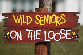 Wild Seniors on the Loose