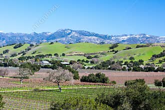 Santa Barbara Wine Area