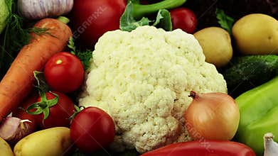 Vegetables. Close-up