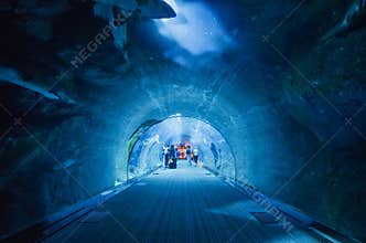 The tunnel of the dubai aquarium