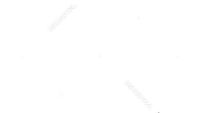 Classic interior creation, wireframe