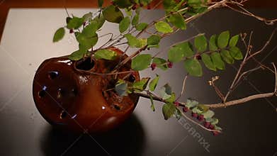 Simple ikebana arrangement