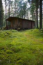 Hunter's Cabin